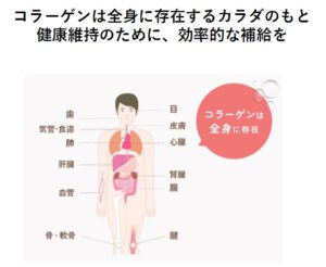 全身の健康維持に「コラーゲン」の効果とは？ 1日の摂取量は？ 効果的に摂るには？